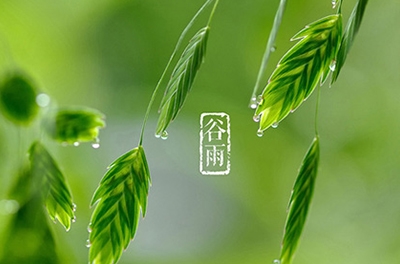 谷雨，播種希望