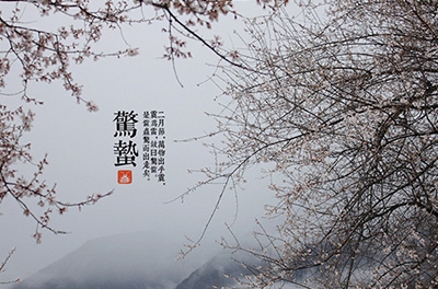 春雷起，驚蟄出